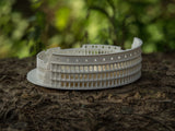 Roman Colosseum Completley Detailed See The World - 3D Printer Universe